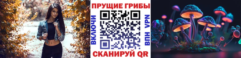 Галлюциногенные грибы мицелий  Шуя 