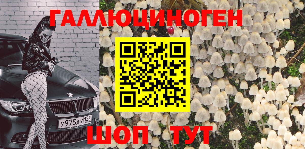 Галлюциногенные грибы мухоморы  Вход с VPN  Шуя 