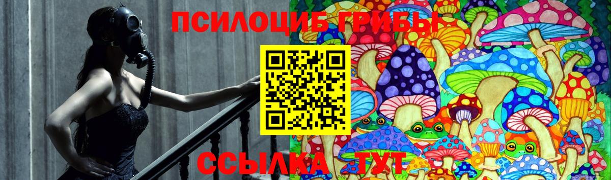 Псилоцибиновые грибы Psilocybine cubensis Шуя
